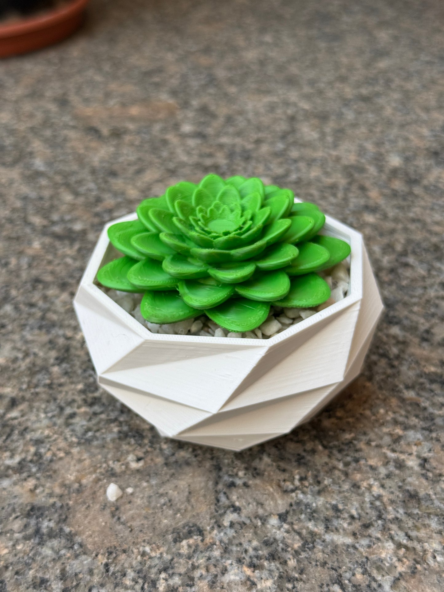3D Printed Planter with Succulent | White Planter | Green Succulent | Hexentrix 3D