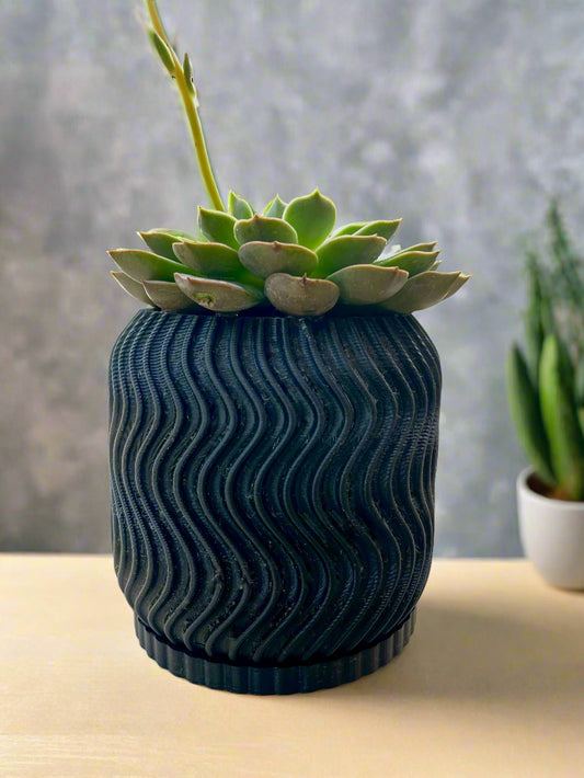 3D Printed Planter | Flower Pot | Hexentrix 3D