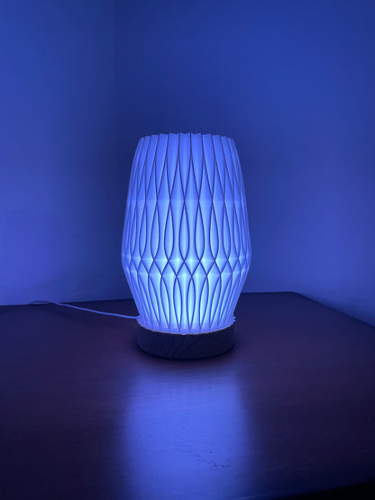 3D Printed Lamp | RGB LED Lamp | Hexentrix 3D