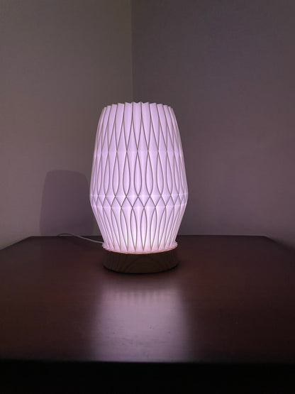 3D Printed Lamp | RGB LED Lamp | Hexentrix 3D