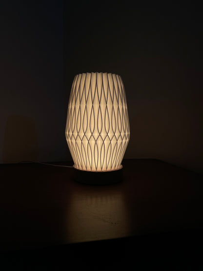 3D Printed Lamp | RGB LED Lamp | Hexentrix 3D