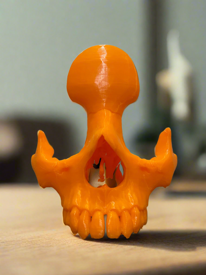 3D Printed Skull Eyeglass Holder | Eyeglass Stand | Hexentrix 3D